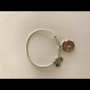 Alex and Ani bracelet